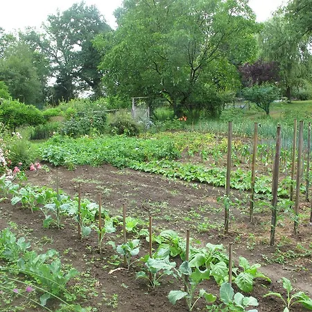 Jouandous Bed & Breakfast Habas