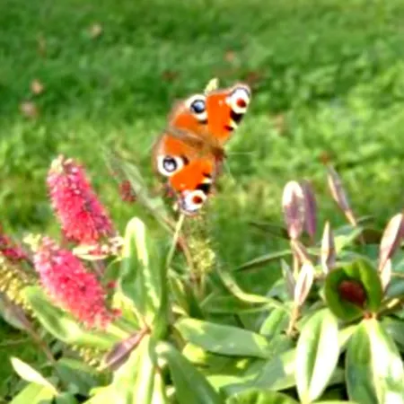 Jouandous Bed & Breakfast 3*