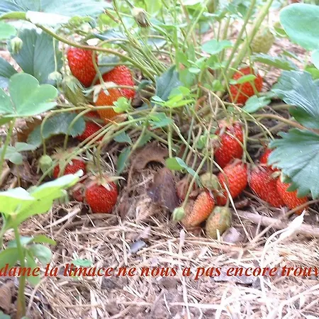 Bed & Breakfast Jouandous Habas