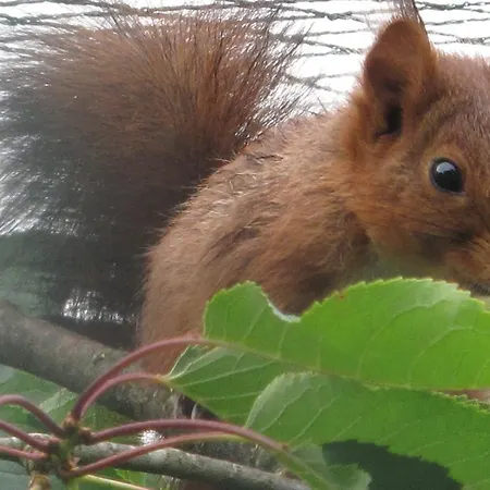 Jouandous Bed & Breakfast