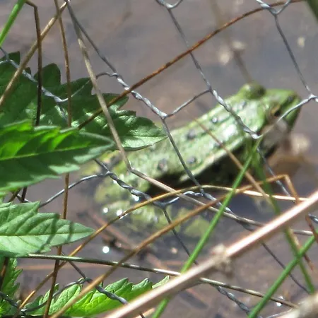 Bed & Breakfast Jouandous