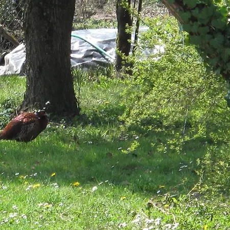 Bed & Breakfast Jouandous 3*