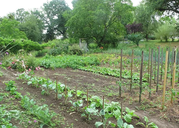 Jouandous Отель типа 