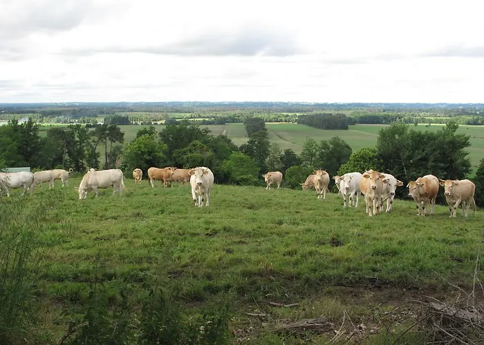 Jouandous Отель типа 